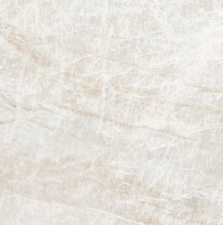 Kraken Matte 24 x 24