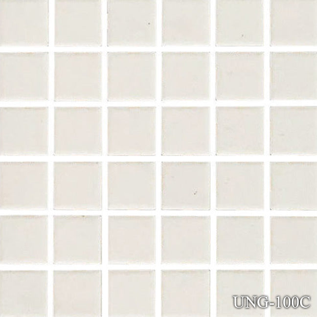 Fujiwa White Unglazed 1" x 1" Dot Mounted Porcelain Pool Tile