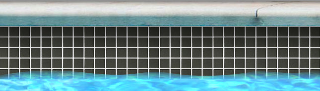 Fujiwa Black Unglazed 1" x 1" Dot Mounted Porcelain Pool Tile