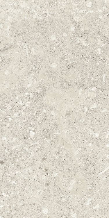 Sea Luster Avorio Matte 12 x 24 by REFIN