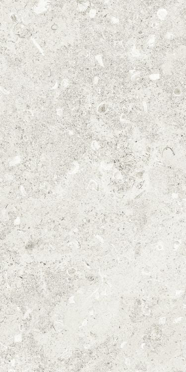 Sea Luster Bianca Matte 12 x 24 by REFIN