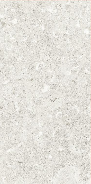 Sea Luster Bianca Grip R11 12 x 24 by REFIN
