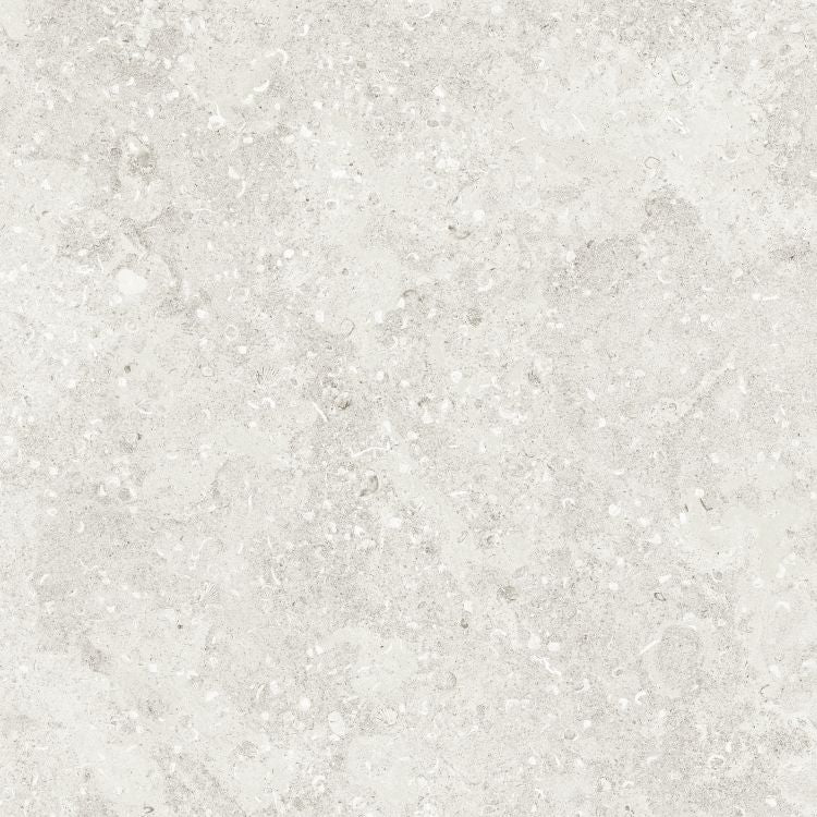 Sea Luster Bianca Matte 48 x 48 by REFIN