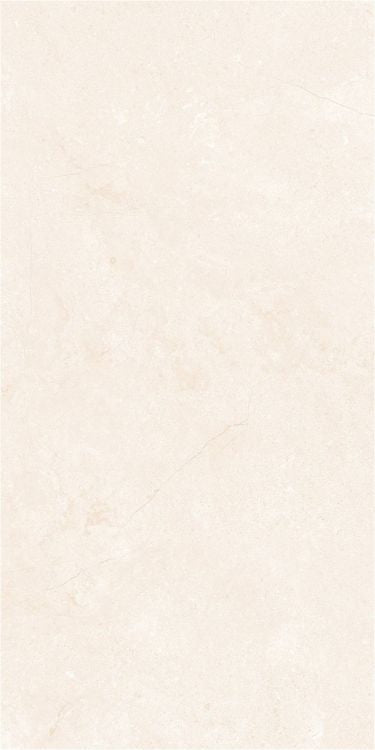 OL Marfil Polished 12 x 24