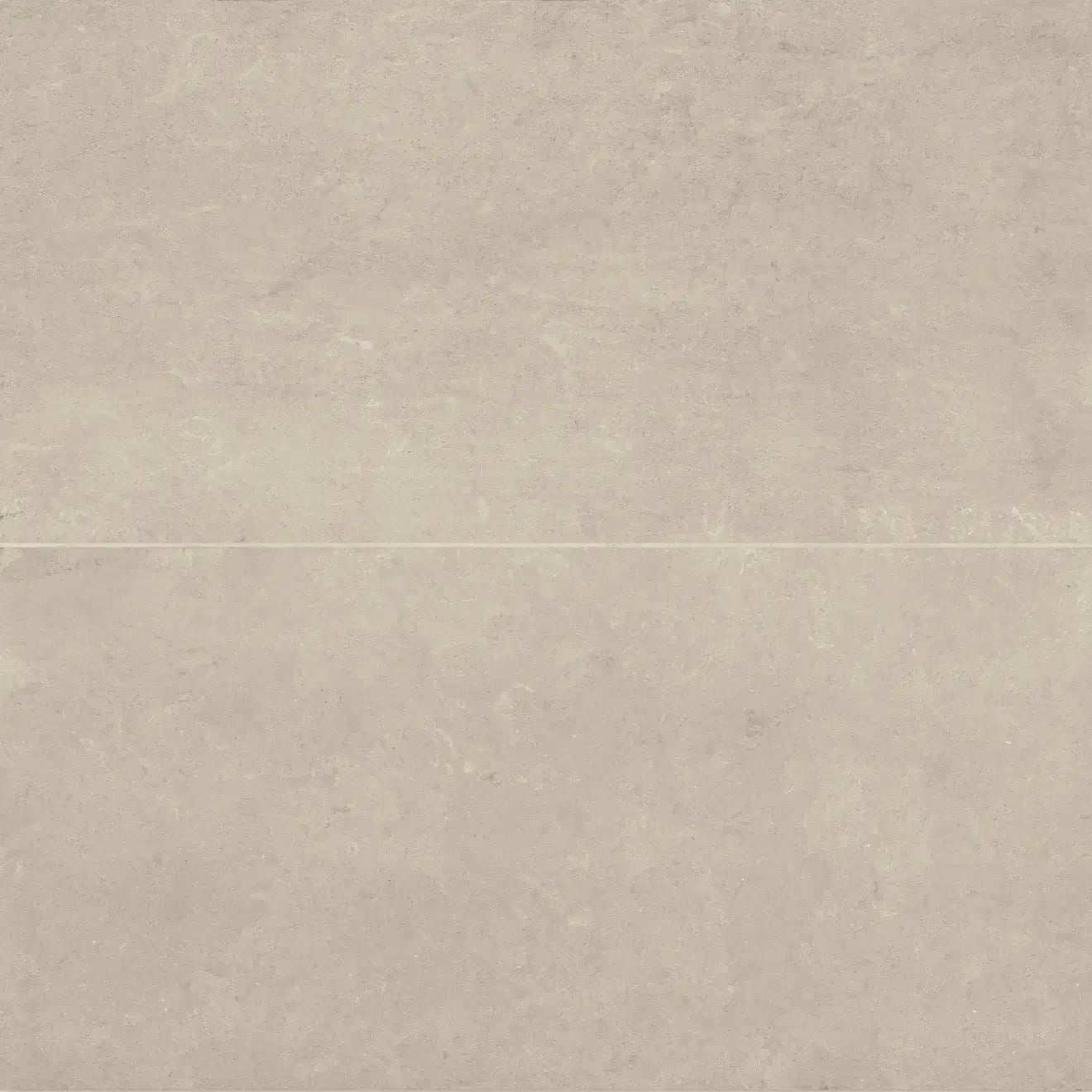 Thaddeus 24" x 48" matte porcelain tile in warm almond hue, showcasing a smooth non-reflective surface.