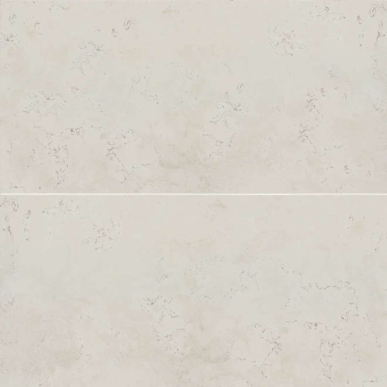 Thaddeus 24" x 48" matte porcelain tile in white with a smooth and non-reflective surface.