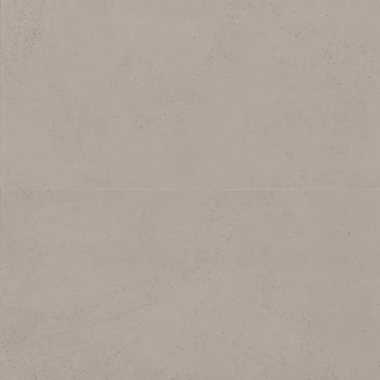 Thaddeus 24" x 48" taupe matte porcelain tile, R11 anti-slip rated, perfect for moisture-prone areas.