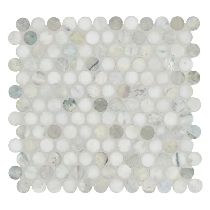 Cloudland Penny Round Pattern 12" X 12" Polished Marble Mosaic Floor And Wall Tile
