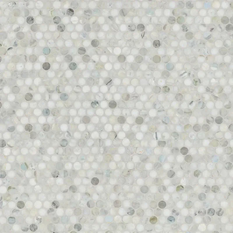 Cloudland Penny Round Pattern 12" X 12" Polished Marble Mosaic Floor And Wall Tile