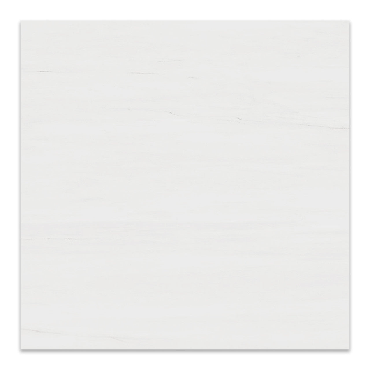 24x24 Bianco Dolomite