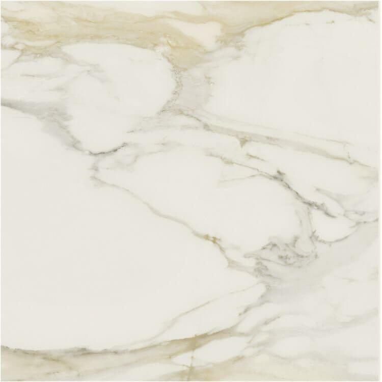 Classici Calacatta Gold Matte 48 x 48 - Hey Tiles