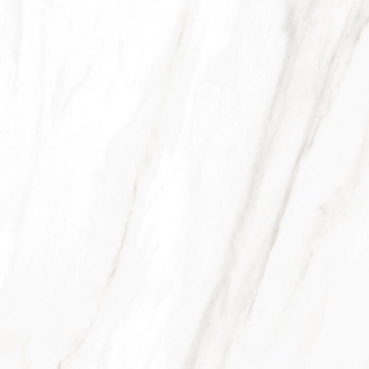 EC Calacatta Gold Matte 24 x 24 - Hey Tiles