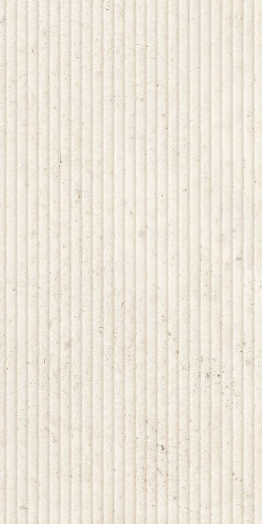 Supergres Lightstones.03 Shell Classic Deco 24" x 48" Porcelain Tile