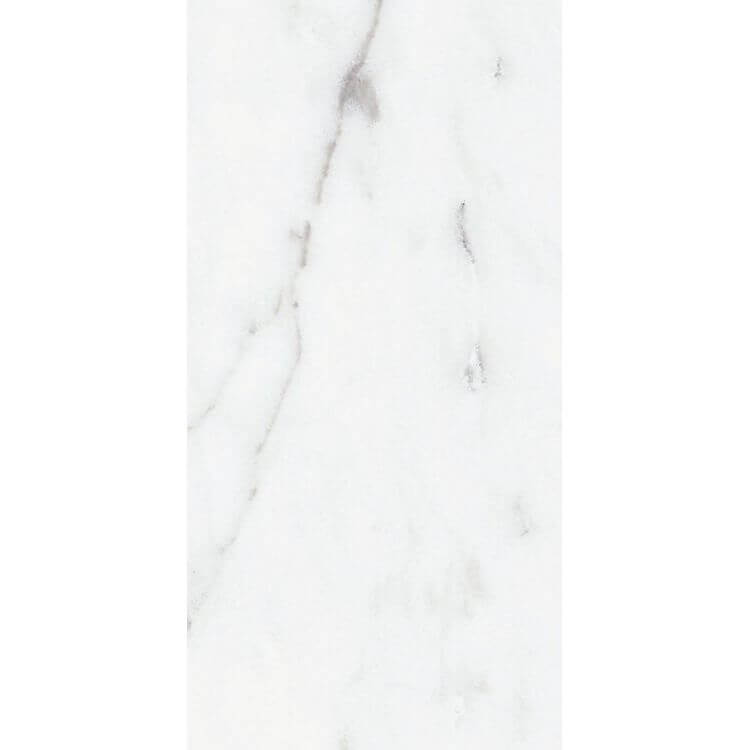 Origines Argent Glossy 12 x 24 by REX - Hey Tiles