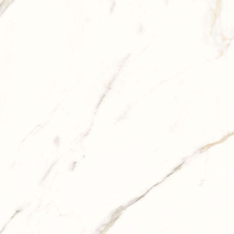 Trilogy Calacatta White Soft 24 x 24 - Hey Tiles