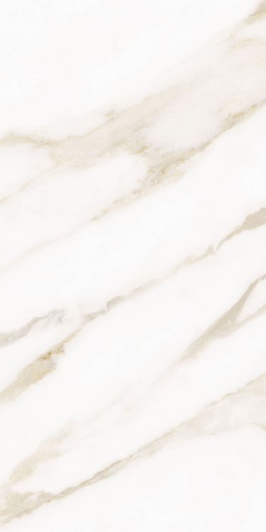 Classy Warm White Matte 12 x 24 Italian Porcelain Tile