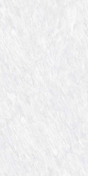 OL Vivid White Matte 24 x 48 Porcelain Tile