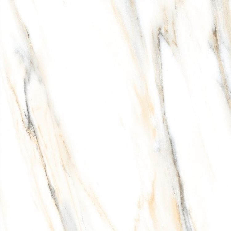 AGL Calacatta Gold Polished 24 x 24 Porcelain Tile
