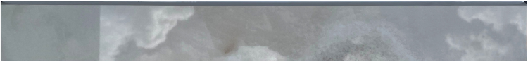 Reves Noisette Glossy Bullnose 3 x 24 Porcelain Trim