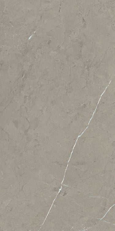 Malaysia Mount Grey Matte 12 x 24 Porcelain Tile