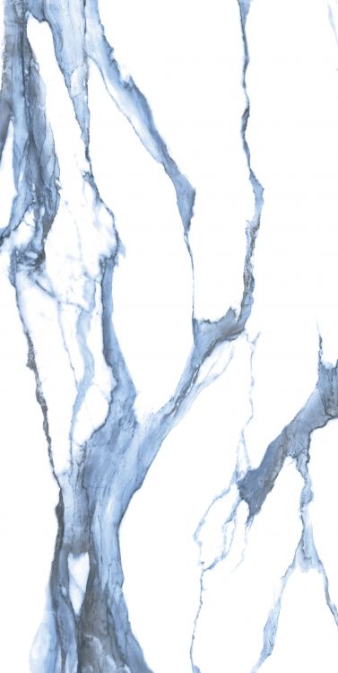 Calacatta Blue Matte 24 x 48 Porcelain Tile