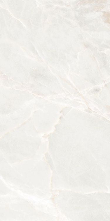Brasilia White Matte 12 x 24 Porcelain Tile