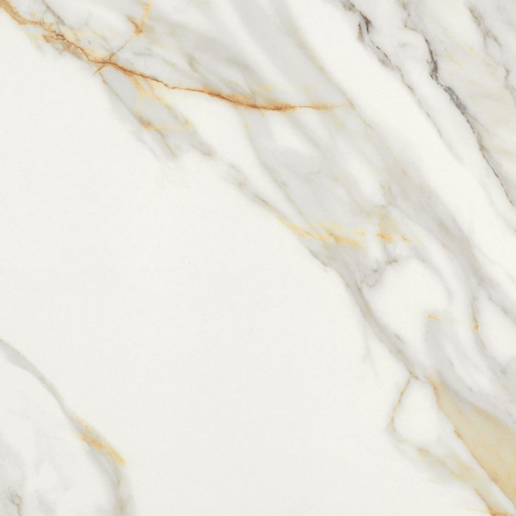 Marmi Macchiavecchia Levigato 24 x 24 Italian Porcelain Tile