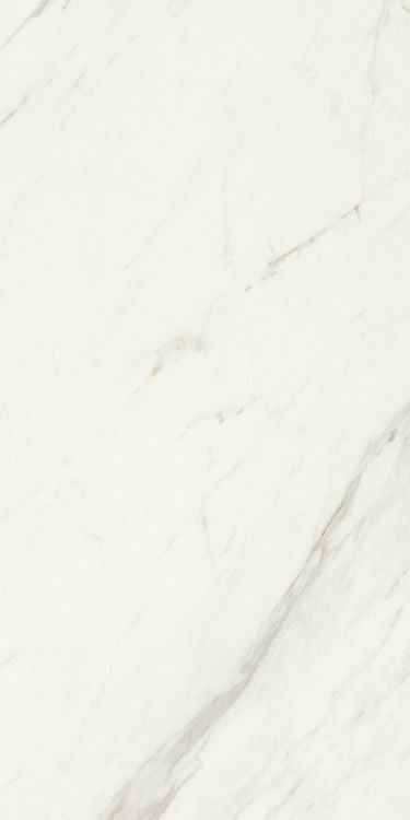 Marmi Calacatta Levigato 12 x 24 Italian Porcelain Tile