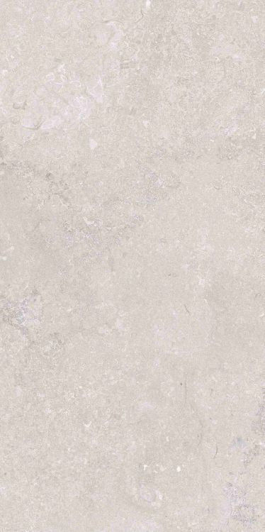 OL Port Land Stone Greige Matte 12 x 24 Porcelain Tile