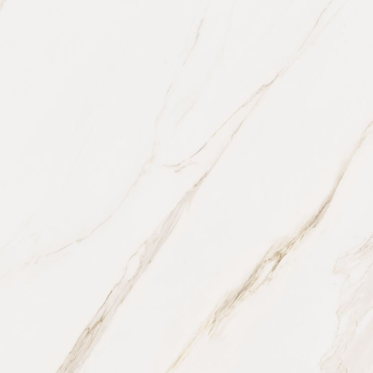 Omnia Calacatta Levigato 48 x 48 Italian Porcelain Tile