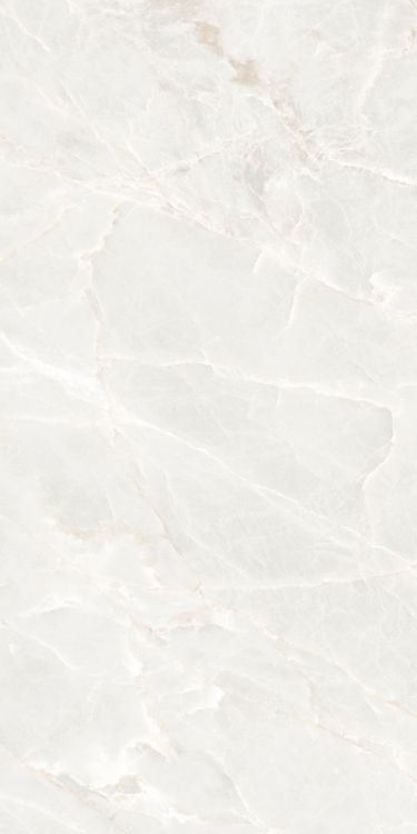 Brasilia White Matte 24 x 48 Porcelain Tile