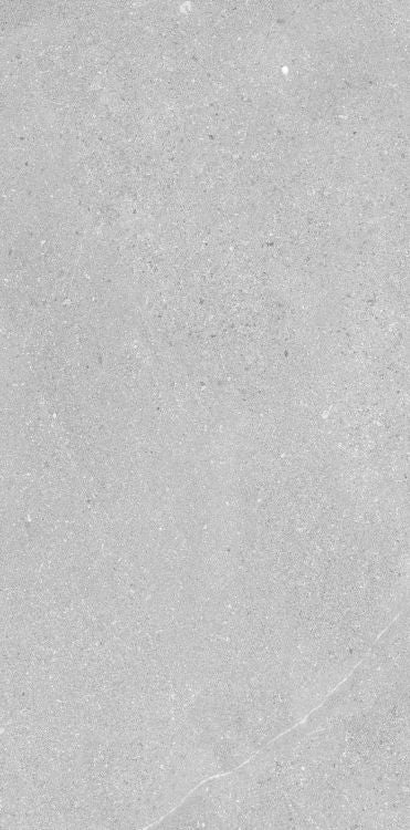 Madison Argent 12 x 24 Porcelain Tile