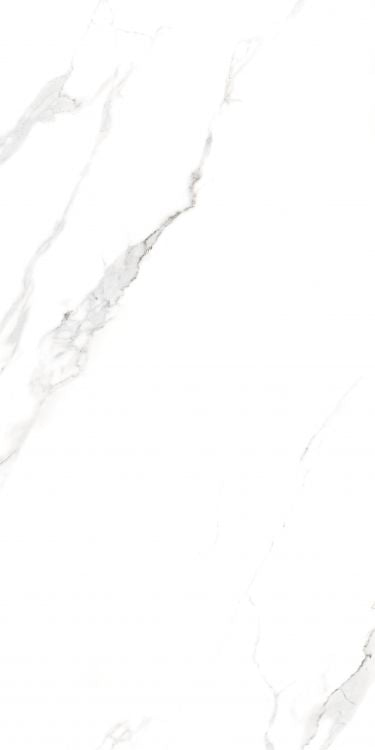 AGL Statuario Polished 24 x 48 Porcelain Tile