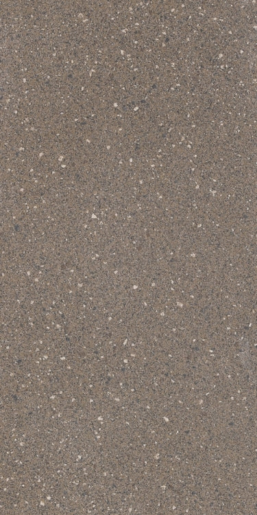 Rock 2010E 12 x 24 Porcelain Tile