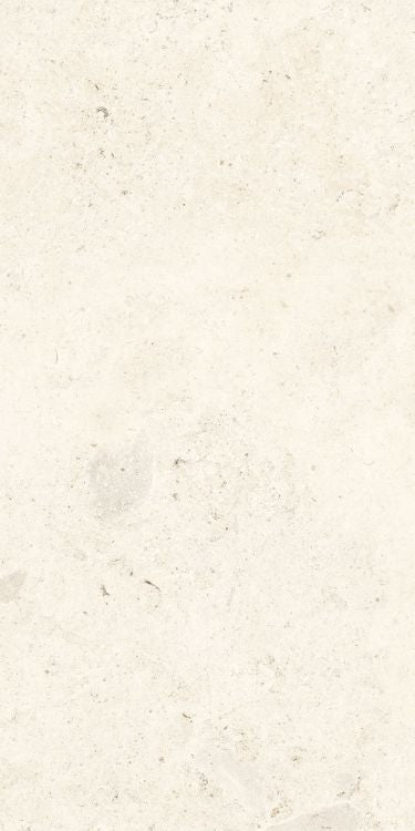 Lightstones.03 Shell Soft Touch 12 x 24 Italian Porcelain Tile