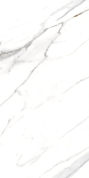 AGL Carrara Matte 24 x 48 Porcelain Tile