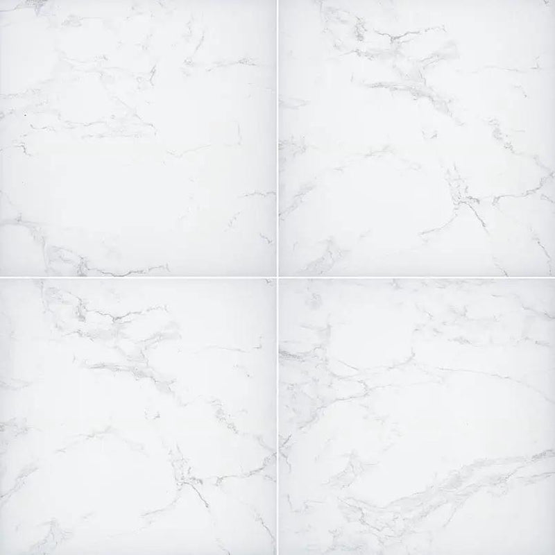 MSI Arterra Praia Carrara 24 x 24 porcelain paver