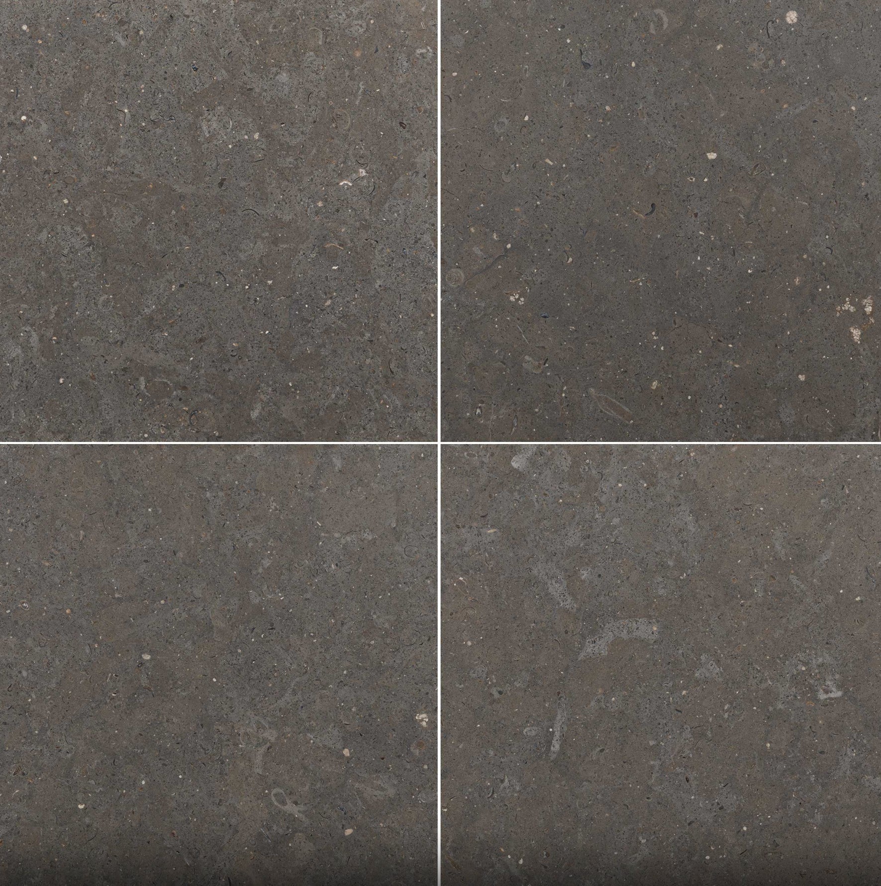 12 x 12 x 3/8 Lagos Blue Limestone Honed - Hey Tiles