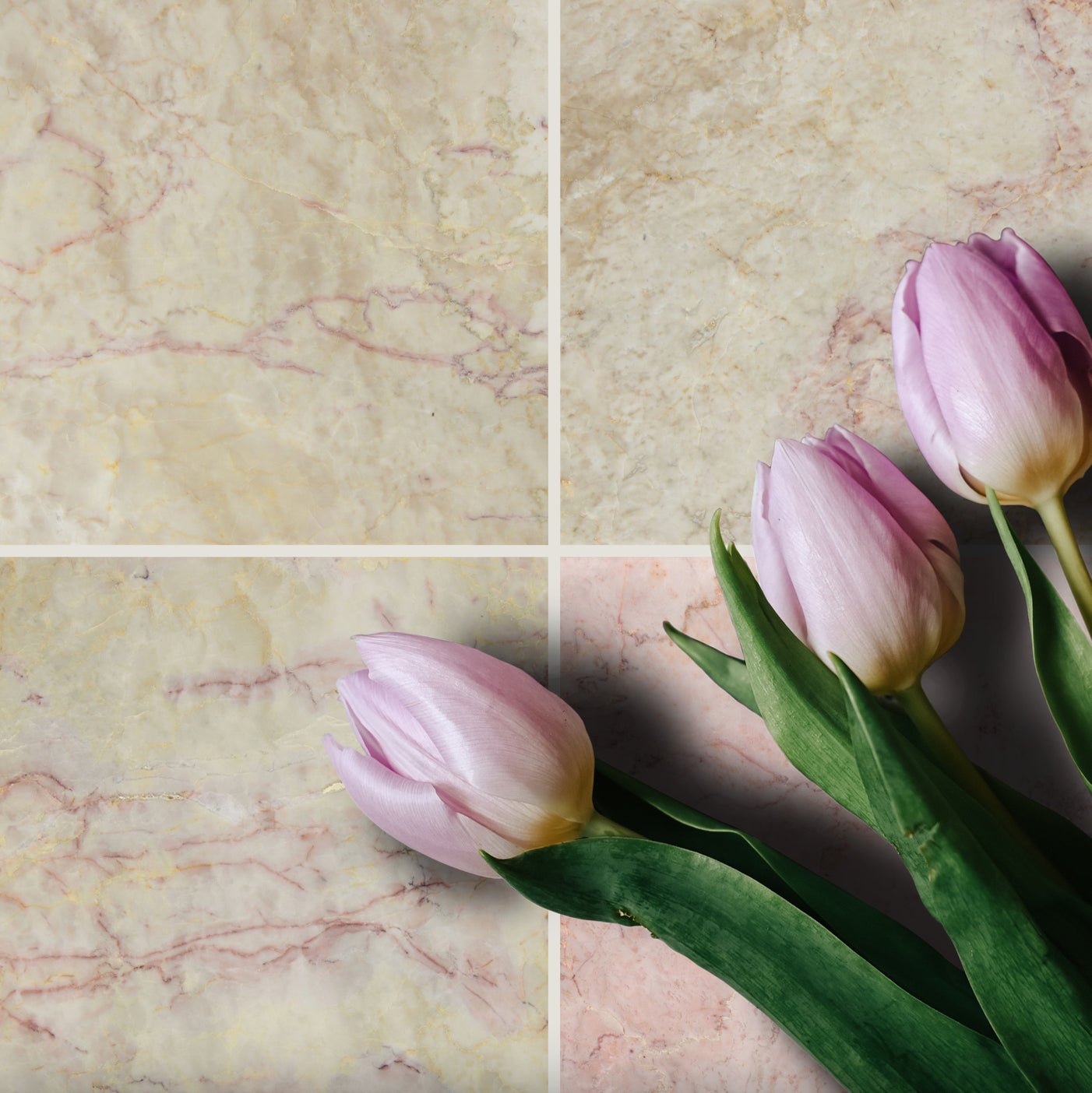 12x12 Cherry Blossom Polished Marble, 3/8 - Hey Tiles