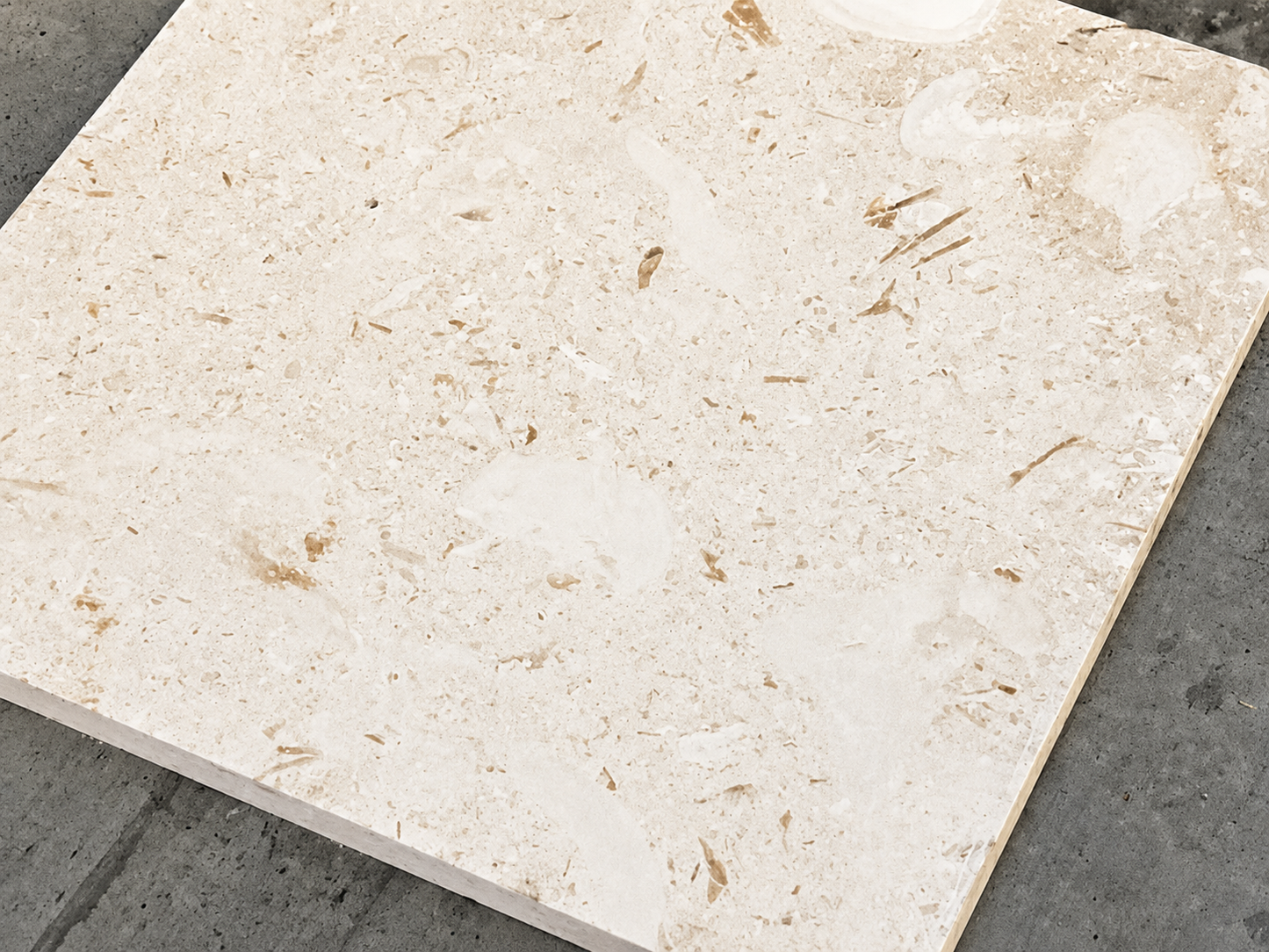 Mayra White 12" x 12" x 3cm Tumbled Limestone Paver