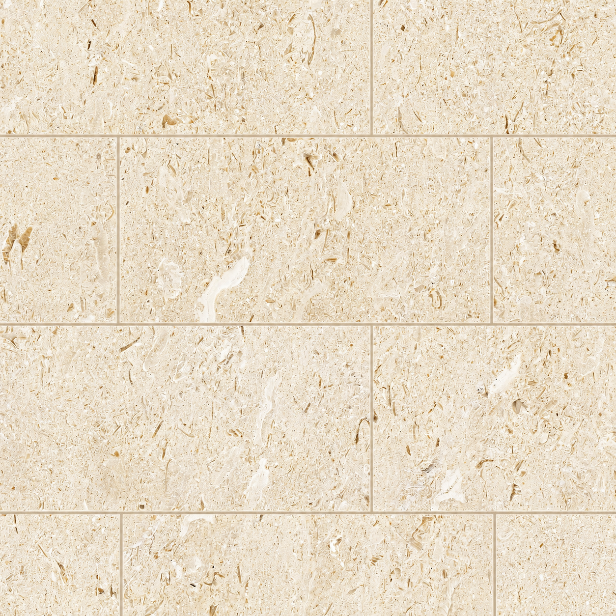 Mayra White 6" x 12" x 3cm Tumbled Limestone Paver