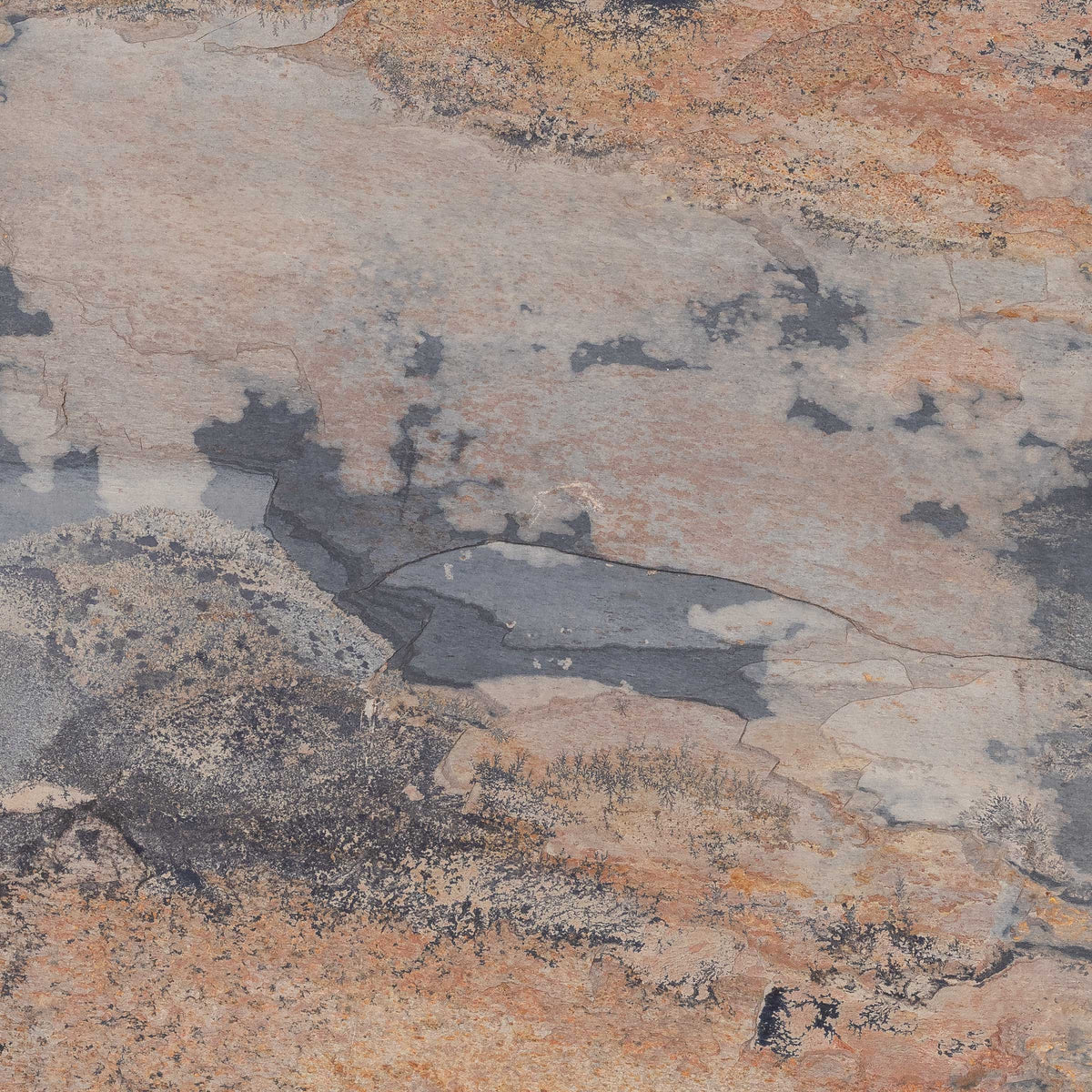 Indian Autumn Slate Flagstone closeup