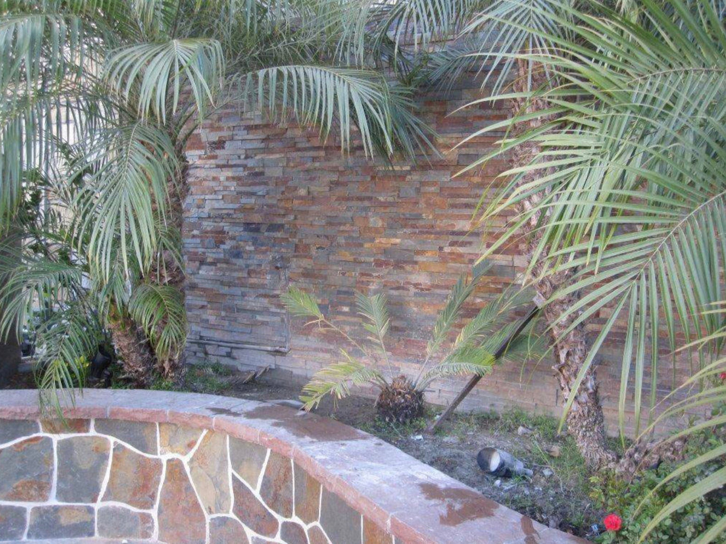 MSI Gold Rush 6x24 Panel