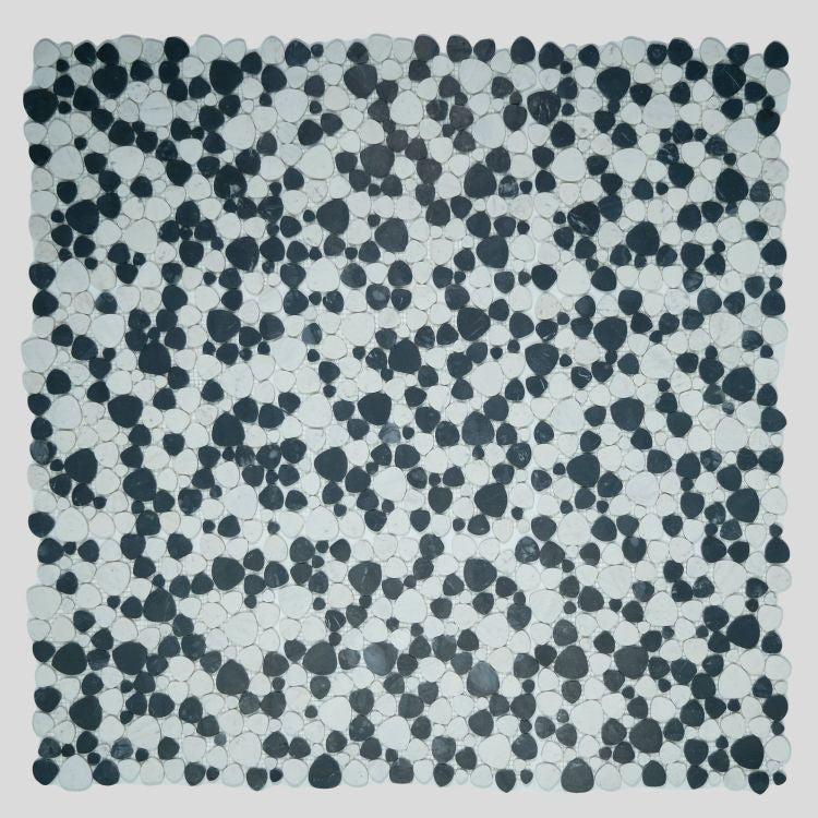 Aphrodite Panda Honed 12 x 12