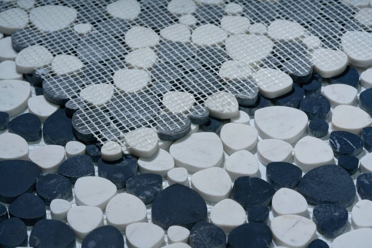 Aphrodite Panda Honed 12 x 12