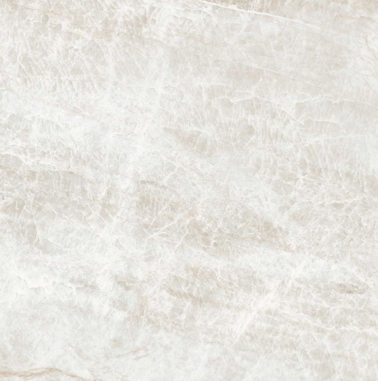 Kraken Matte 24 x 24