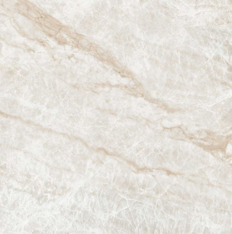 Kraken Matte 24 x 24