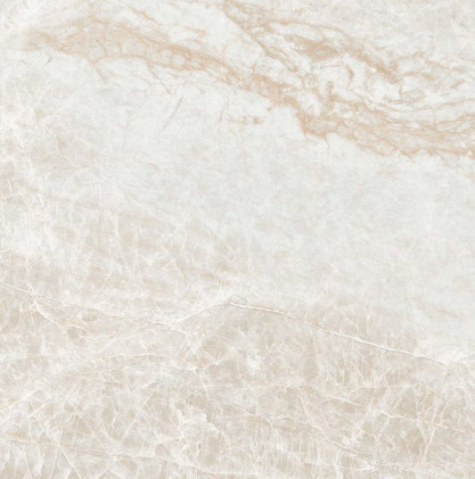 Kraken Polished 24 x 24