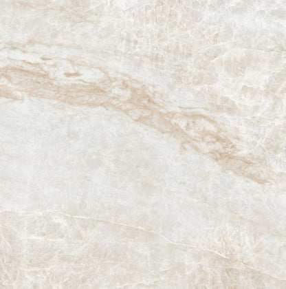 Kraken Polished 24 x 24 — product image 2