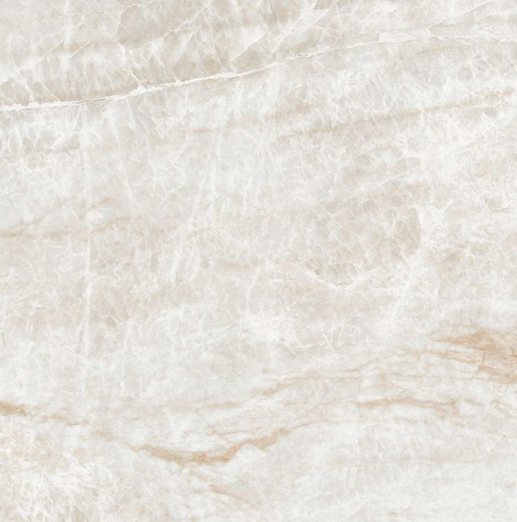 Kraken Polished 24 x 24